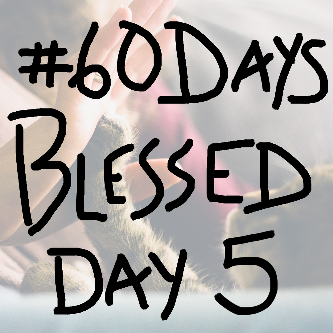 call-an-old-friend-day-5-60daysblessed-andrea-lechner-becker-writer