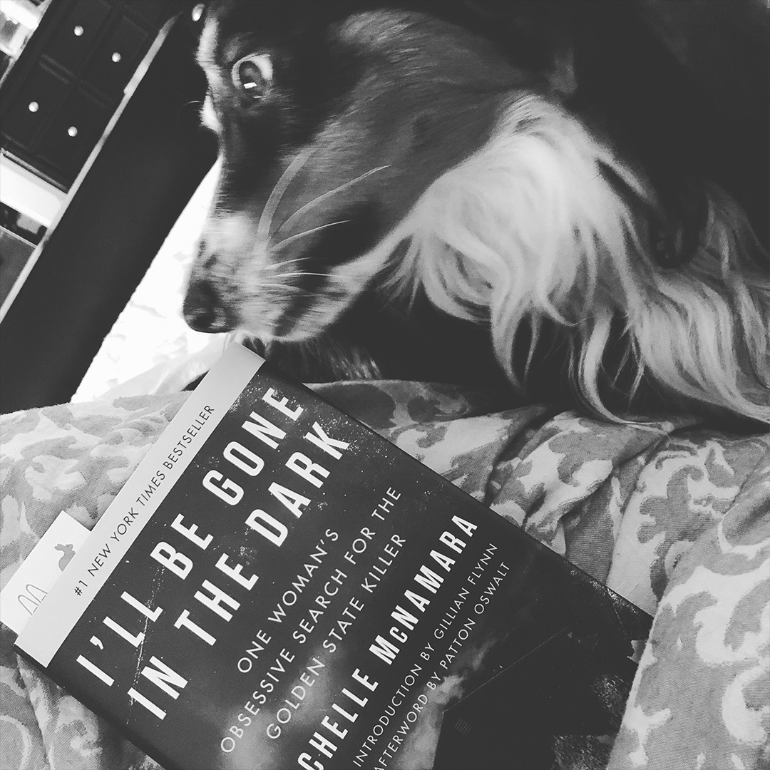 book-review-i-ll-be-gone-in-the-dark-by-michelle-mcnamara-andrea